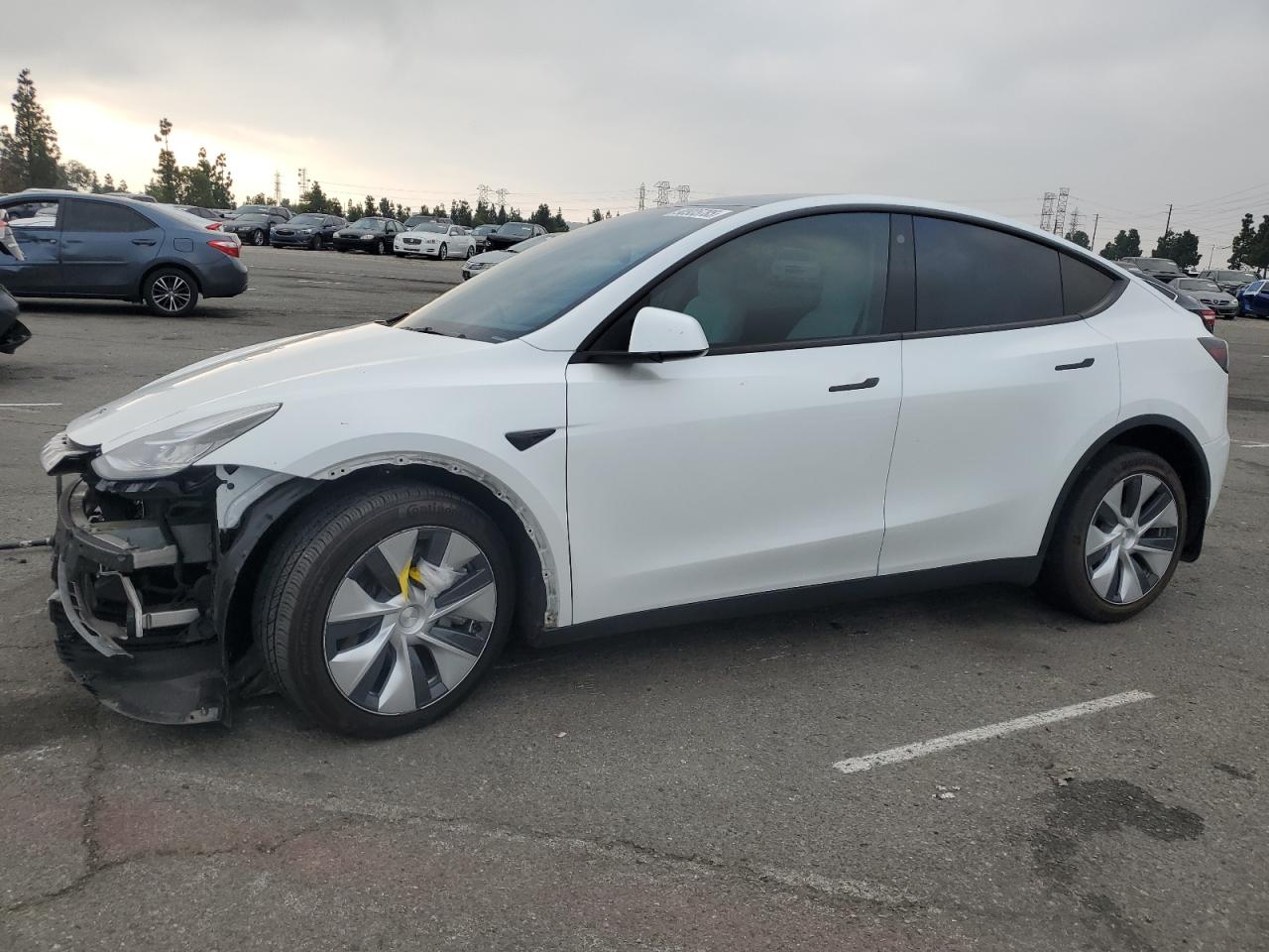 Tesla Model Y Image 1