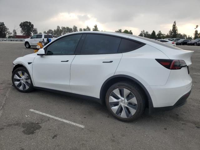Tesla Model Y Image 3