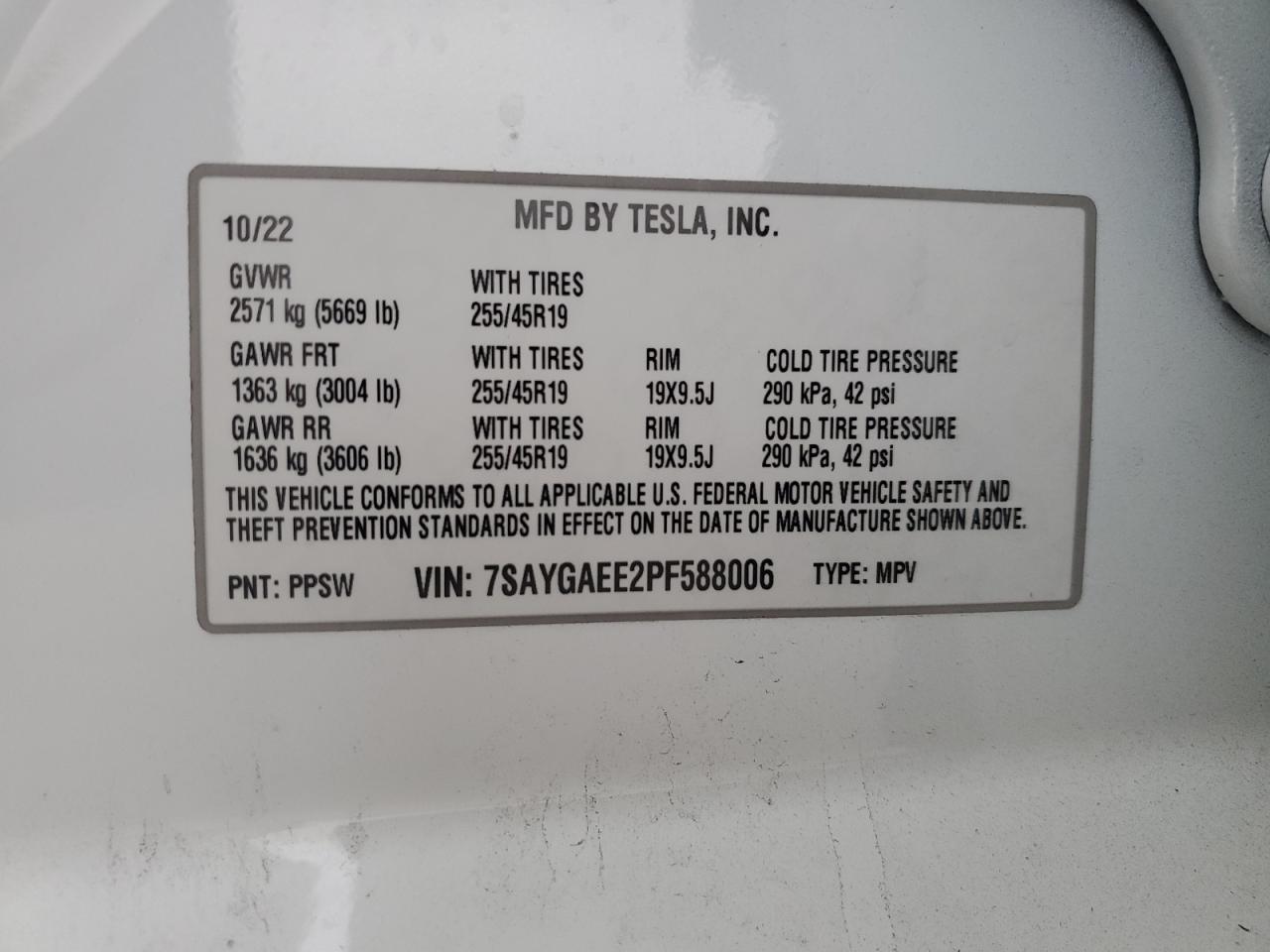 Tesla Model Y Image 12